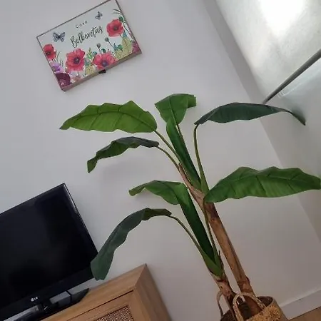 Casa Bolboretas Appartement *