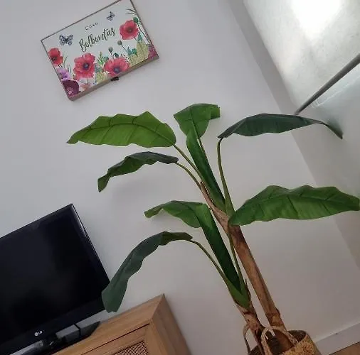 Casa Bolboretas Appartement *